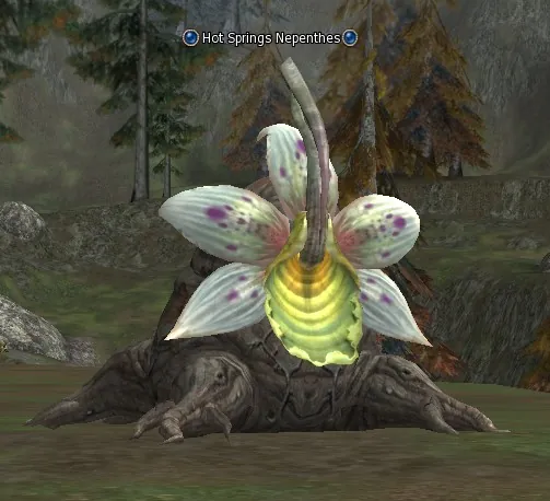 Hot Springs Nepenthes in Lineage 2 High Five