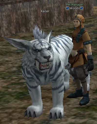 Kaiser in Lineage 2 High Five