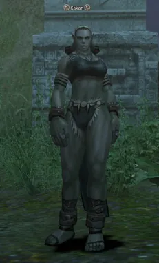 Kakan в Lineage 2 Interlude