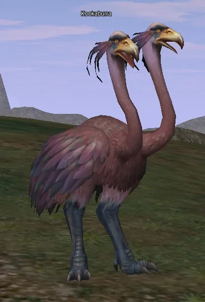 Kookaburra in Lineage 2 High Five