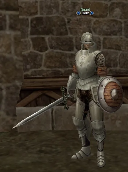 Liam in Lineage 2 High Five