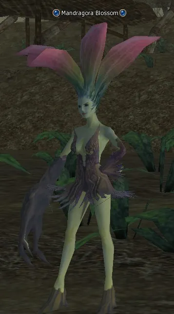 Mandragora Blossom in Lineage 2 Interlude