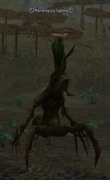 Mandragora Sapling in Lineage 2 Interlude