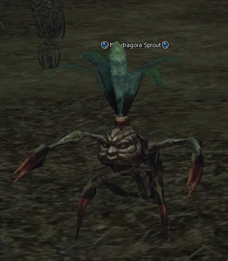 Mandragora Sprout in Lineage 2 High Five