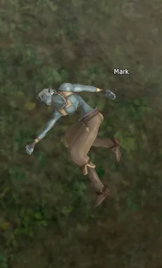 Mark in Lineage 2 High Five