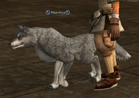 Maximus in Lineage 2 High Five
