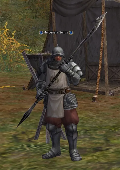 Mercenary Sentry in Lineage 2 High Five