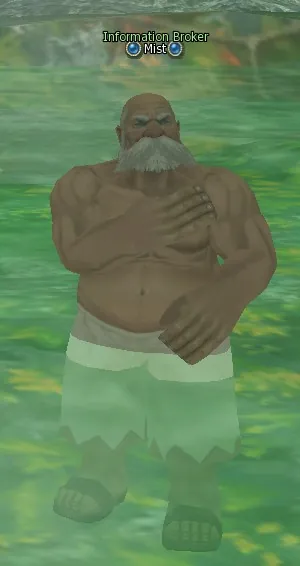 Mist in Lineage 2 Interlude