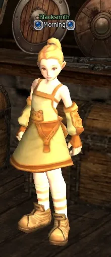 Morning in Lineage 2 High Five