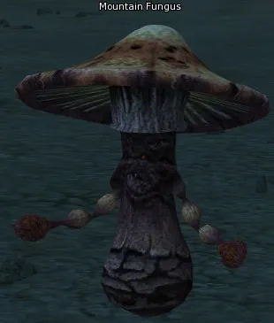 Mountain Fungus in Lineage 2 High Five