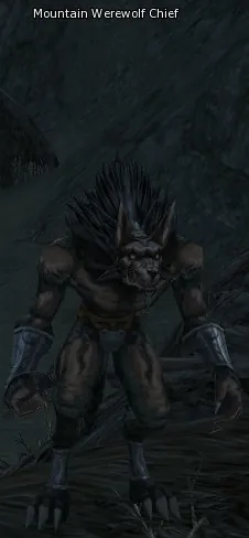 Mountain Werewolf Chief in Lineage 2 High Five