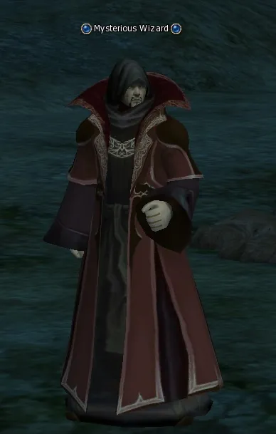 Mysterious Wizard in Lineage 2 High Five