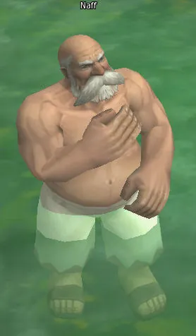 Naff in Lineage 2 High Five