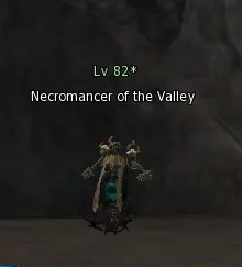Necromancer of the Valley в Lineage 2 High Five