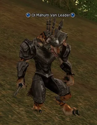 Ol Mahum Van Leader in Lineage 2 High Five