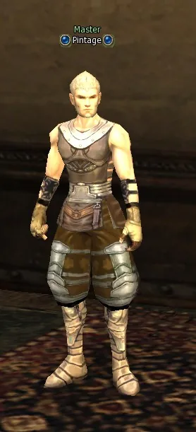 Pintage in Lineage 2 Interlude