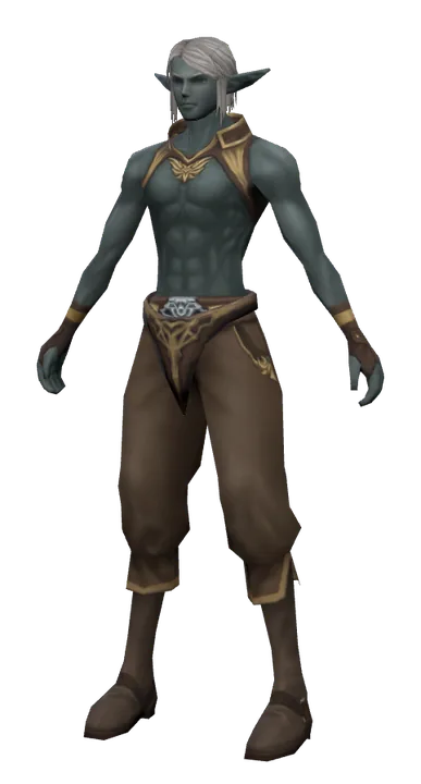 Virgil in Lineage 2 C1: Harbingers of War