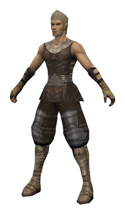 Newbie Helper in Lineage 2 C3: Rise of Darkness
