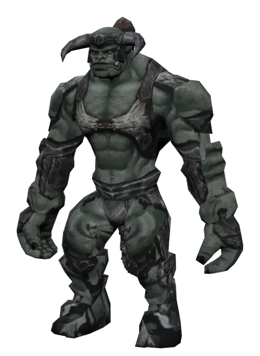 Fanatic Soldier in Lineage 2 C3: Rise of Darkness