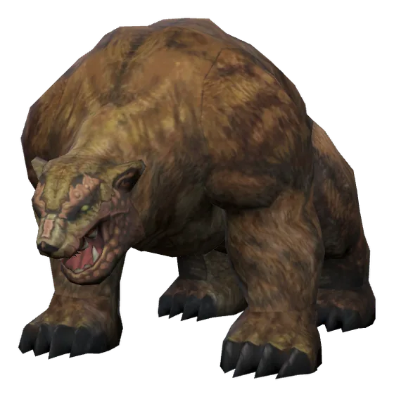 Grizzly Bear