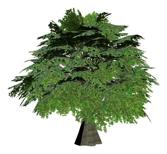 Fairy Tree of Abyss in Lineage 2 C3: Rise of Darkness