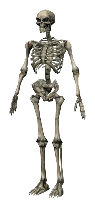 Skeleton Lord in Lineage 2 C1: Harbingers of War