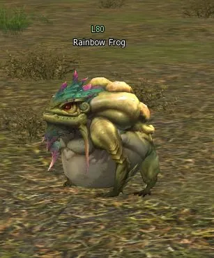 Rainbow Frog no Lineage 2 High Five