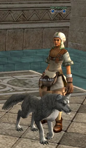 Rood в Lineage 2 High Five