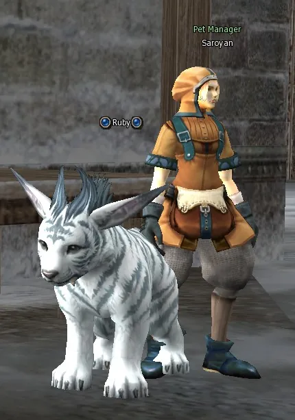 Ruby в Lineage 2 High Five