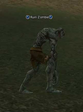 Ruin Zombie in Lineage 2 Interlude