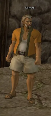 Samed in Lineage 2 Interlude