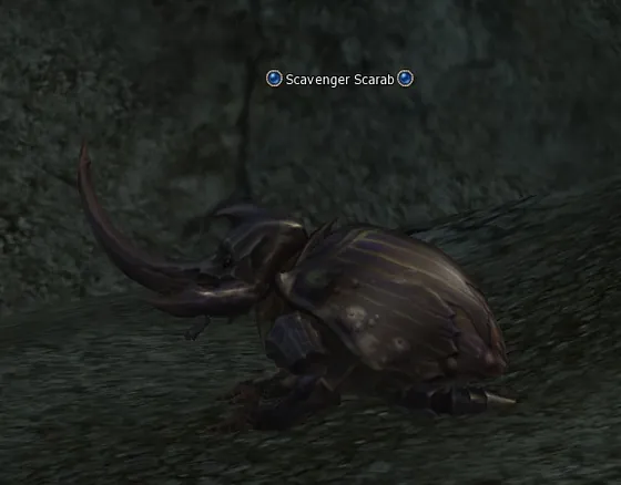Scavenger Scarab in Lineage 2 Interlude