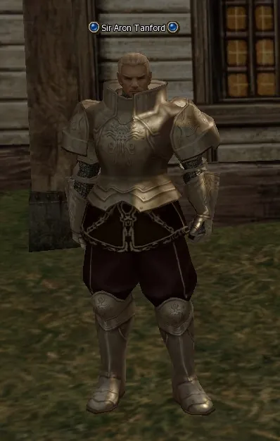 Sir Aron Tanford in Lineage 2 High Five