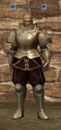 Sir Ortho Lancer in Lineage 2 High Five