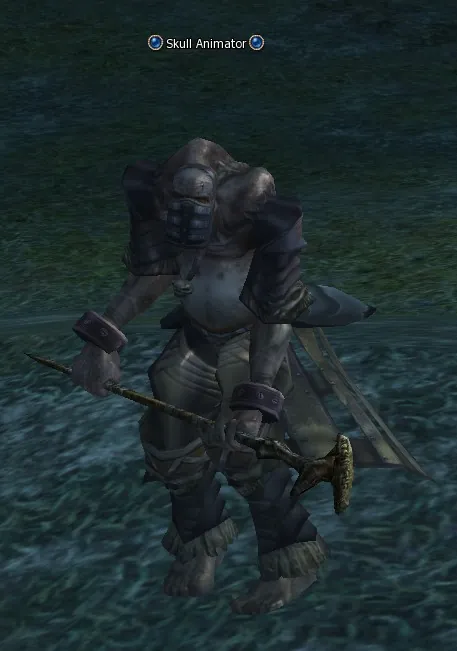Skull Animator in Lineage 2 High Five