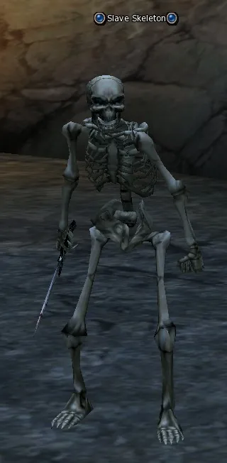 Slave Skeleton in Lineage 2 Interlude