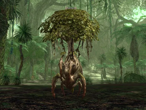 Arachnoid in Lineage 2 Interlude