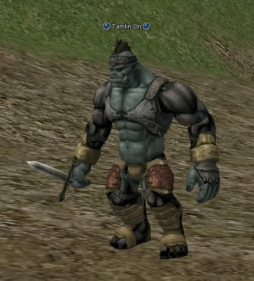 Tamlin Orc in Lineage 2 High Five