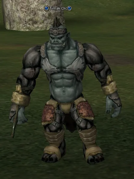 Timak Orc in Lineage 2 Interlude