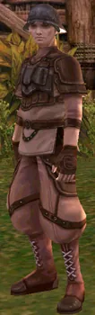 Tor in Lineage 2 High Five