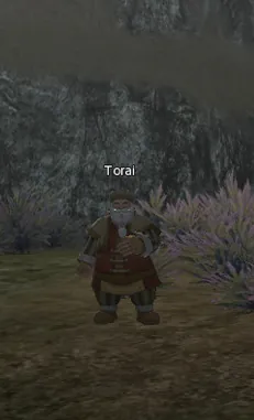 Torai in Lineage 2 Interlude