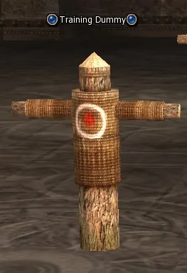 Training Dummy в Lineage 2 Interlude