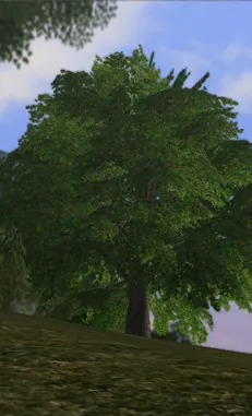Tree in Lineage 2 High Five