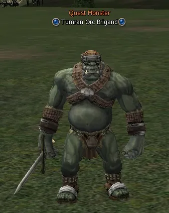 Tumran Orc Brigand in Lineage 2 Interlude