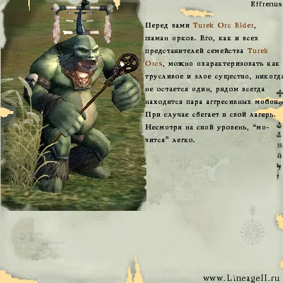 Turek Orc Elder en Lineage 2 High Five
