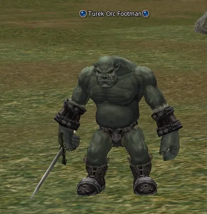 Turek Orc Footman in Lineage 2 Interlude