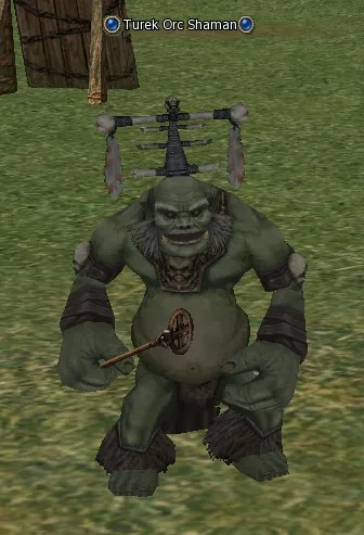Turek Orc Shaman in Lineage 2 Interlude