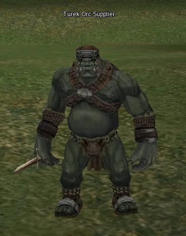 Turek Orc Supplier en Lineage 2 High Five