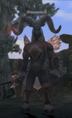 Varka Raider в Lineage 2 Interlude