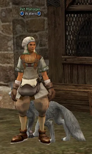 Waters in Lineage 2 Interlude